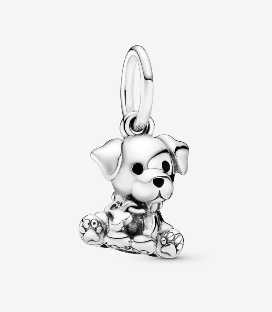Charm labrador cachorro