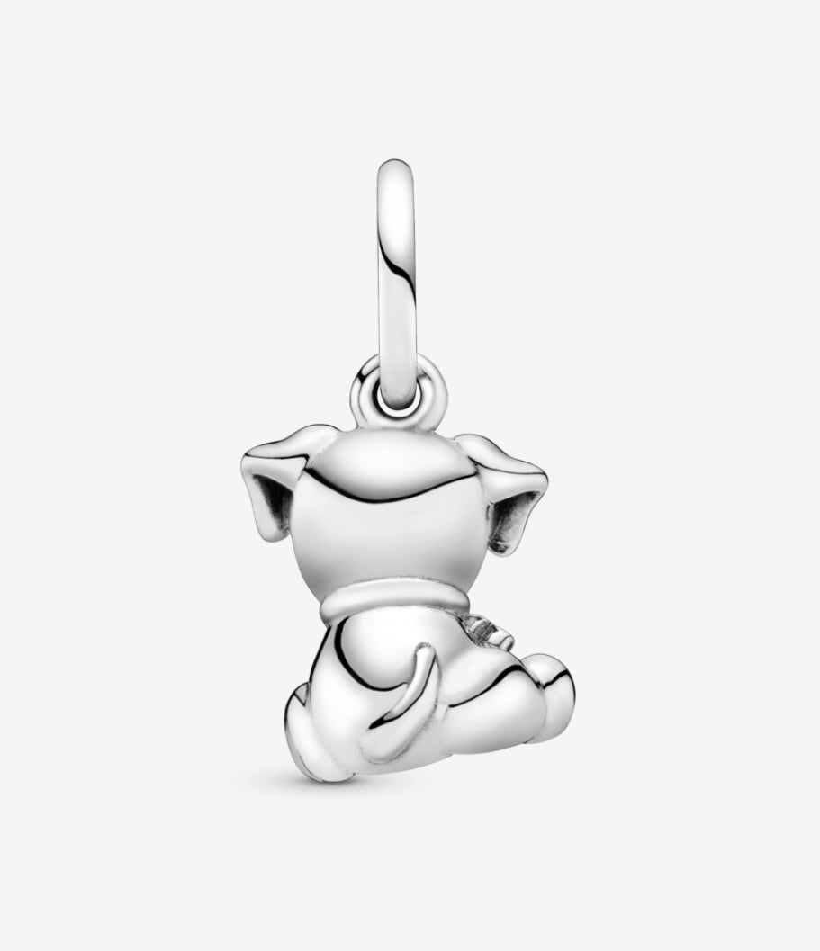 Charm labrador cachorro