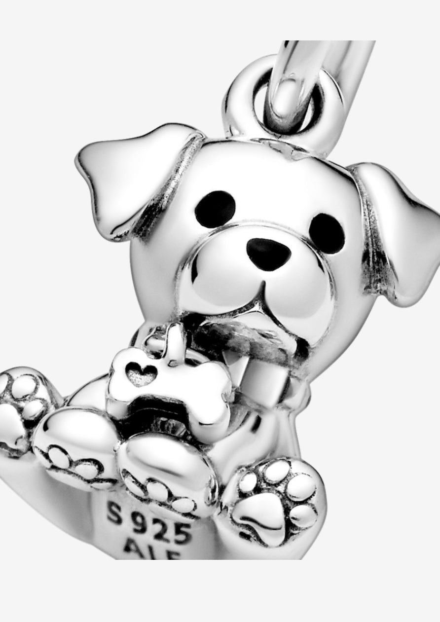 Charm labrador cachorro