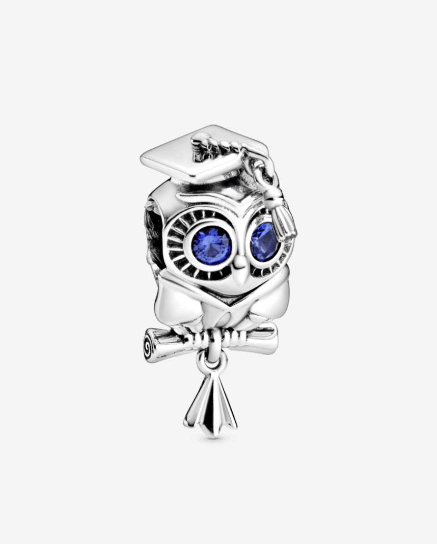 Charm de graduación búho sabio