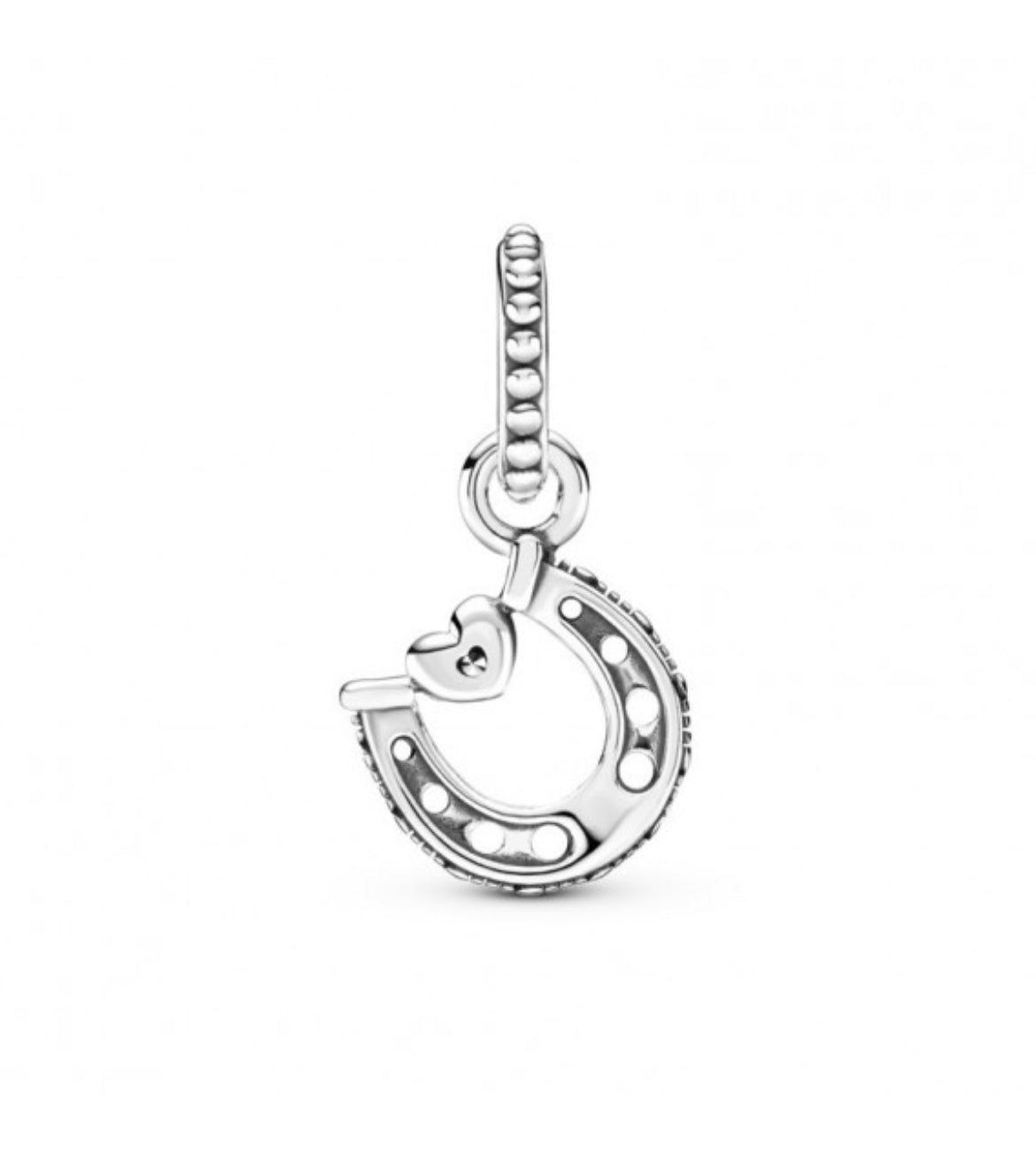 Charm herradura de la suerte