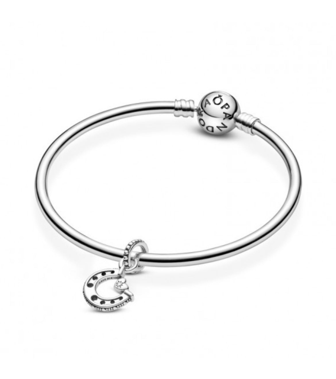 Charm herradura de la suerte