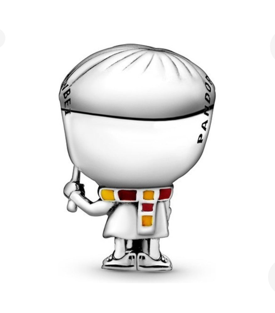 Charm harry potter